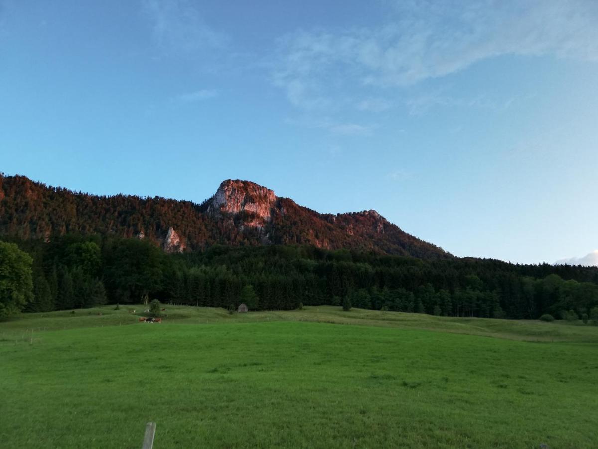Am Mondseeblick ภายนอก รูปภาพ